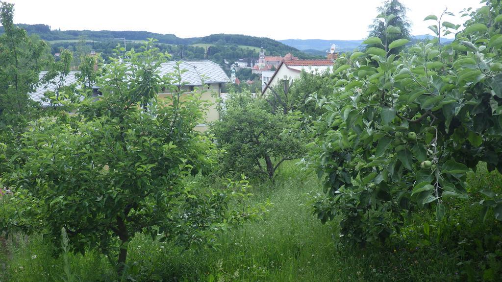 Ubytovani U Dolanskych Český Krumlov Eksteriør billede