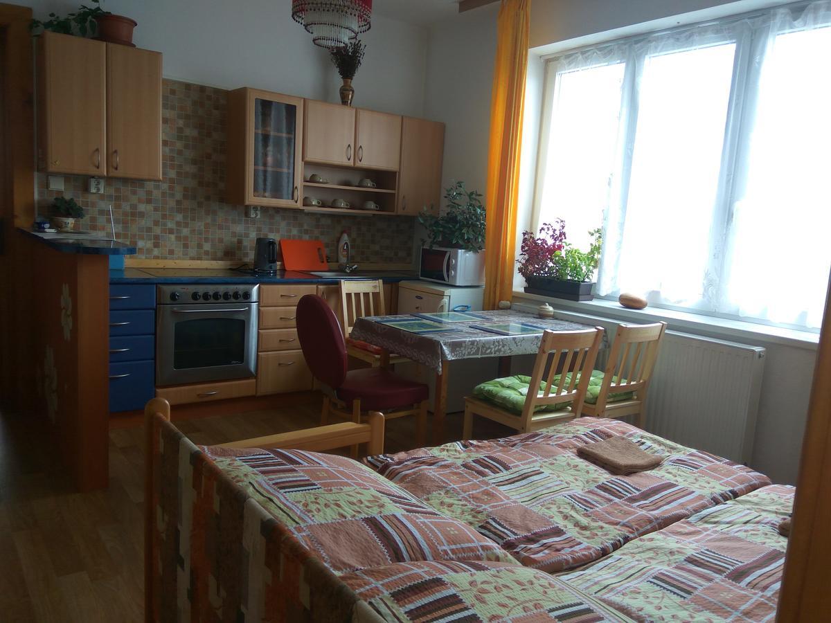 Ubytovani U Dolanskych Český Krumlov Eksteriør billede